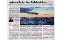 STZ-Artikel_a